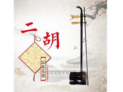 招聘盐城二胡家教老师